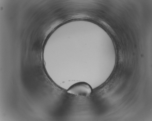 X0000065971322200603061139