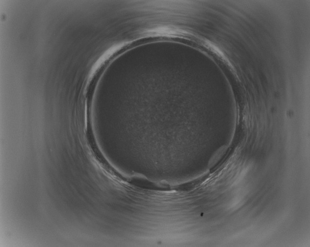 X0000065971323200603061139