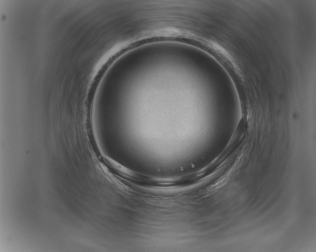 X0000065971326200603061140