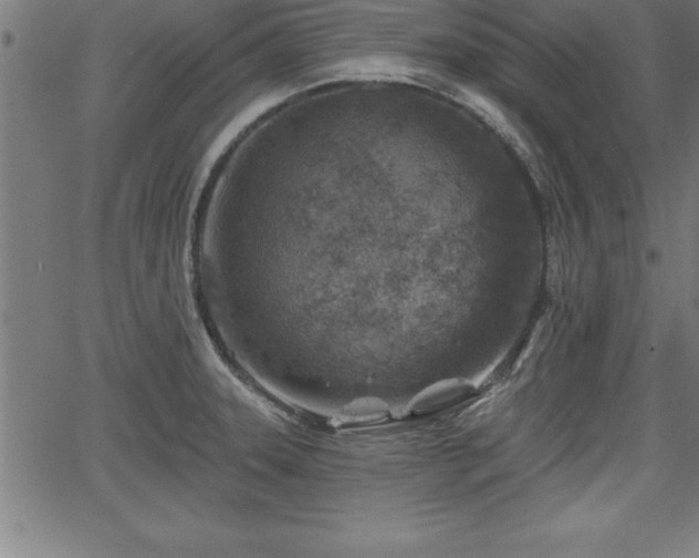 X0000065971331200603061140