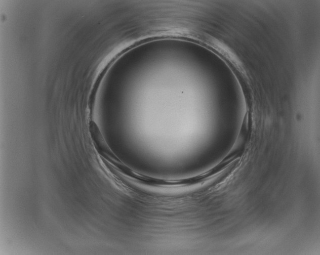 X0000065971332200603061140