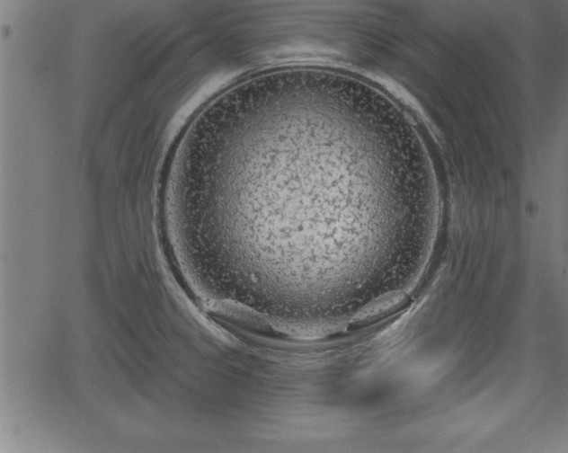 X0000065971333200603061140