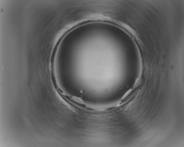 X0000065971335200603061140