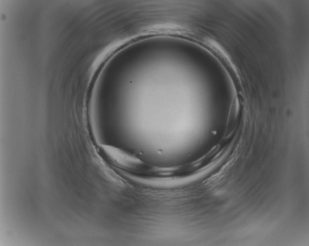 X0000065971336200603061140