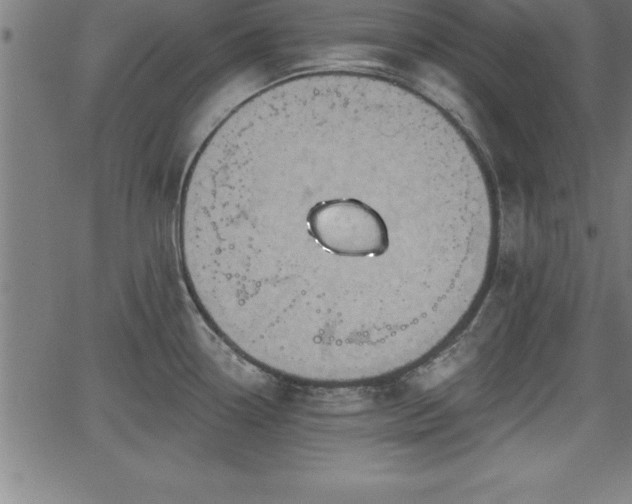 X0000065971338200603061140