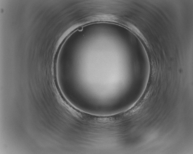 X0000065971339200603061140