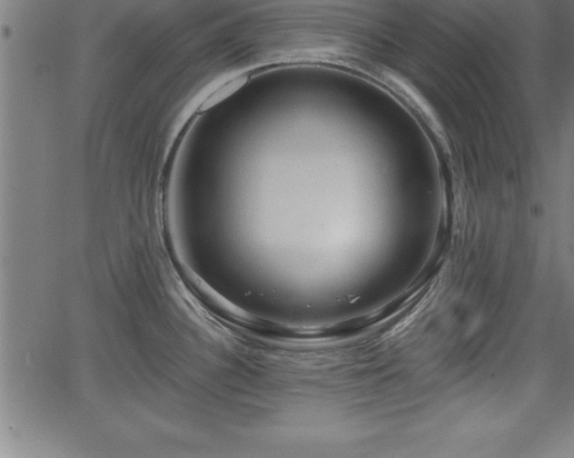 X0000065971340200603061140