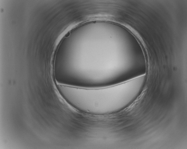 X0000065971341200603061140