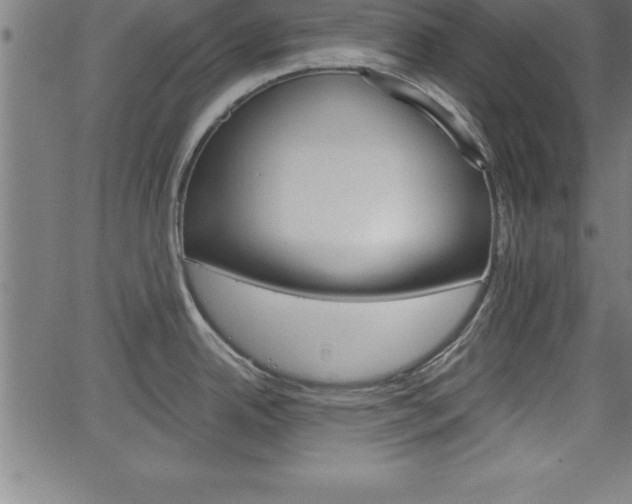 X0000065971342200603061140