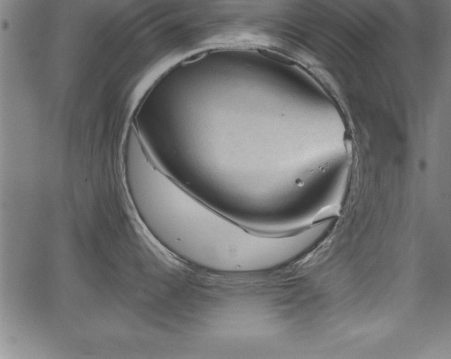 X0000065971344200603061140