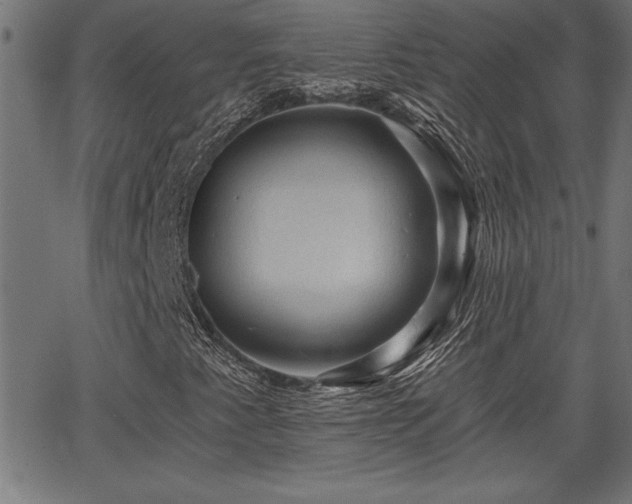 X0000065971345200603061139