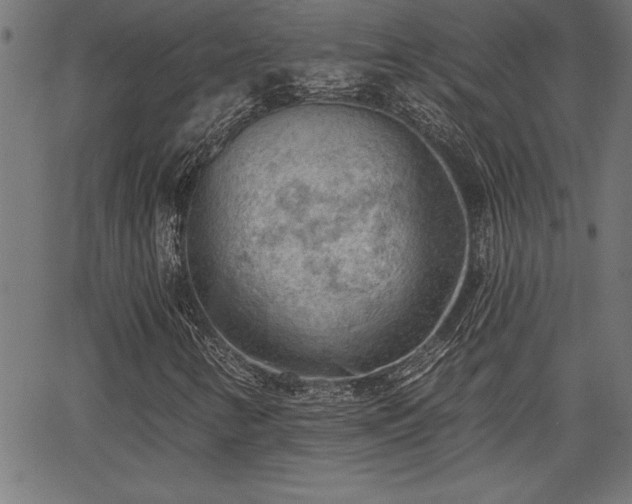 X0000065971346200603061139