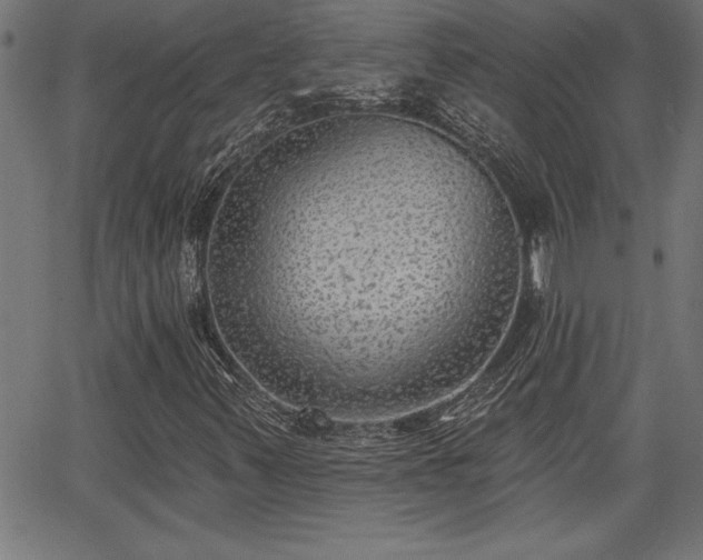 X0000065971347200603061139