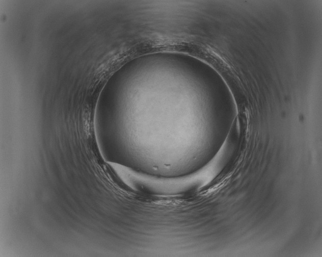 X0000065971348200603061139