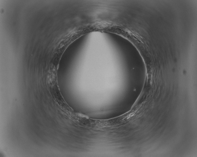 X0000065971349200603061139