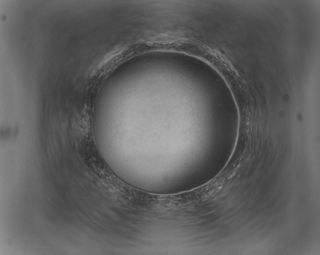 X0000065971350200603061139