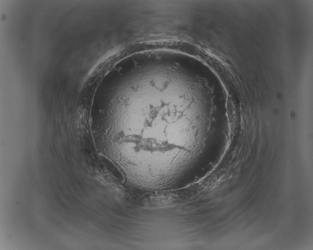 X0000065971351200603061139