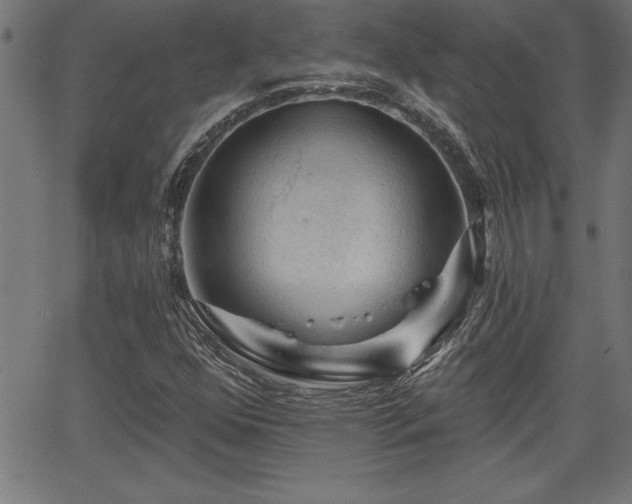 X0000065971352200603061139