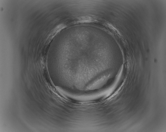 X0000065971353200603061139