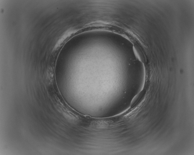 X0000065971355200603061139