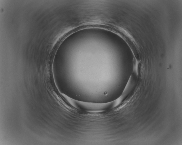 X0000065971356200603061139