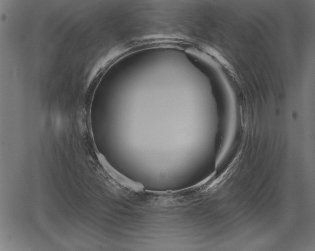 X0000065971357200603061139