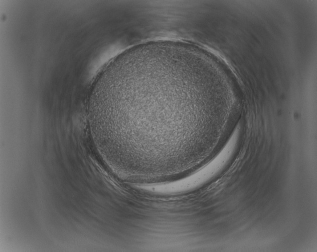 X0000065971359200603061139