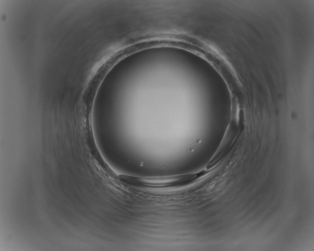 X0000065971360200603061139