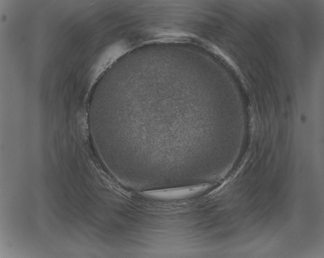 X0000065971362200603061139