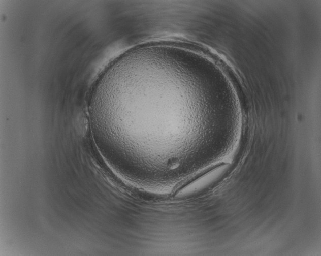 X0000065971363200603061139