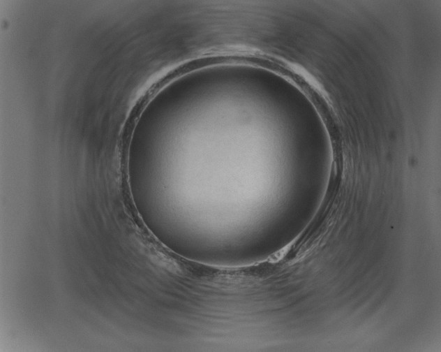 X0000065971364200603061139