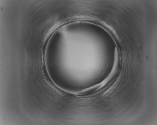 X0000065971365200603061139