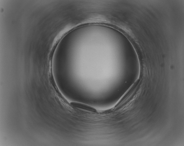 X0000065971366200603061139