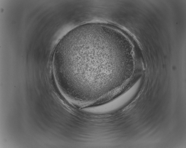 X0000065971367200603061139