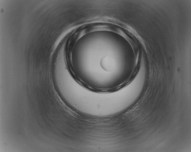 X0000065971368200603061139