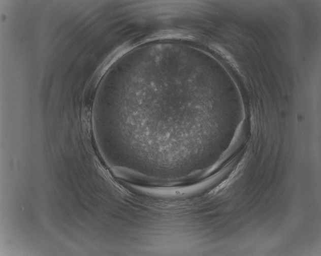 X0000065971369200603061139