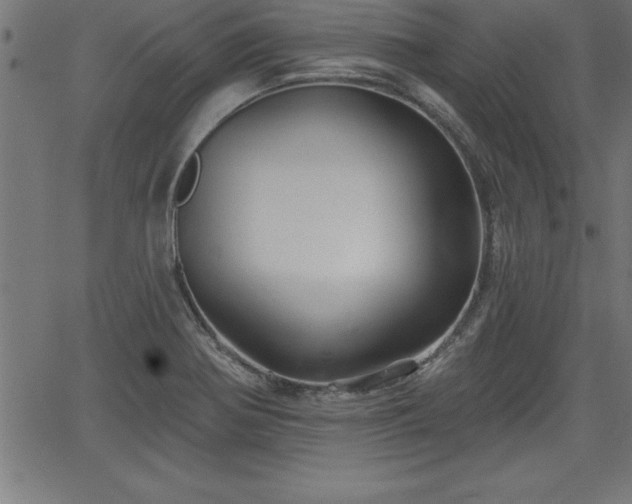 X0000065971370200603061139