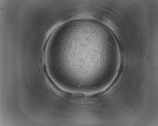 X0000065971371200603061139