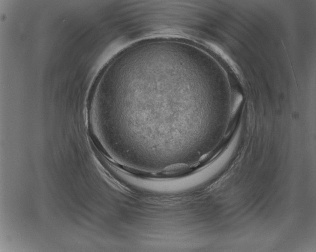 X0000065971372200603061139