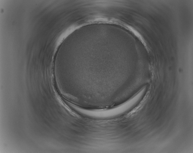 X0000065971373200603061139