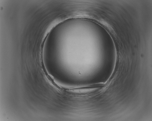 X0000065971374200603061139