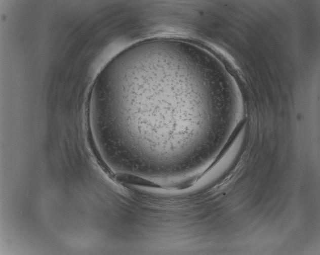 X0000065971375200603061139