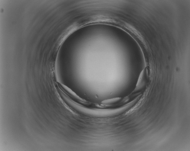 X0000065971377200603061139