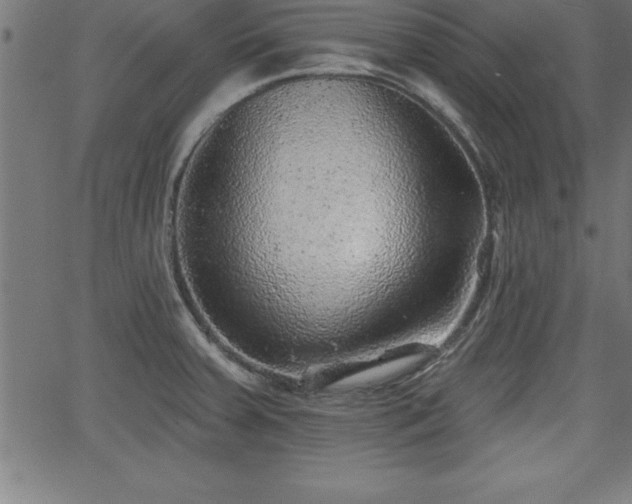 X0000065971379200603061139