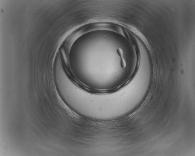 X0000065971380200603061138