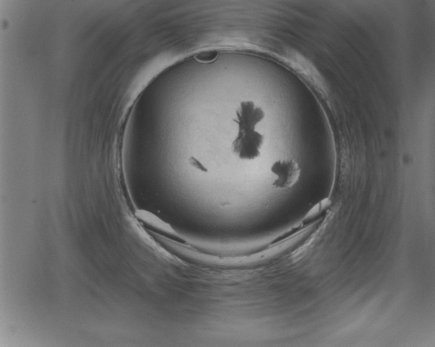 X0000065971382200603061138