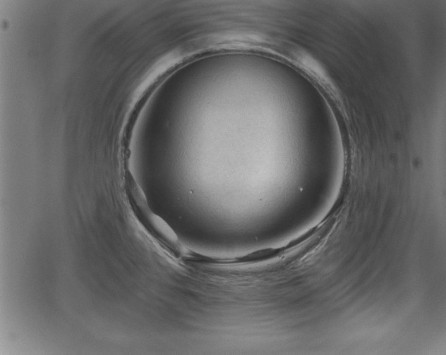 X0000065971384200603061138