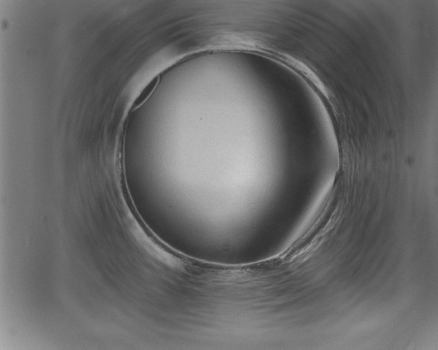 X0000065971387200603061138