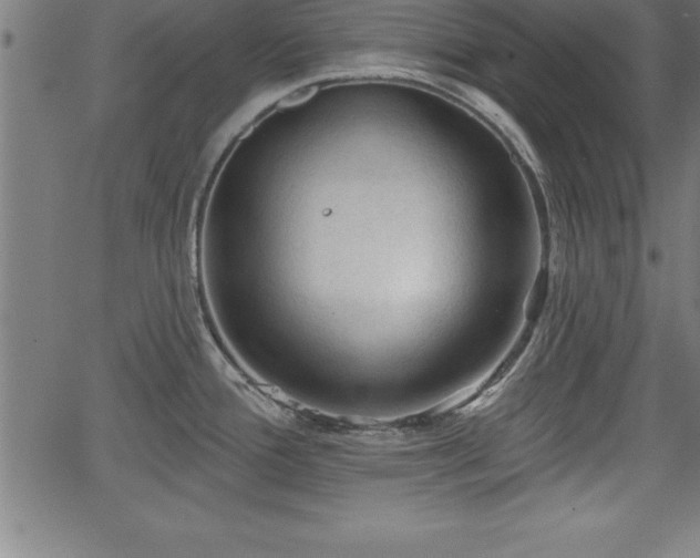 X0000065971388200603061138