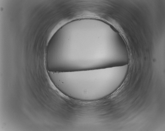 X0000065971390200603061138